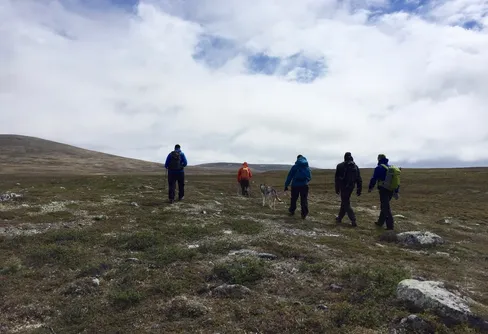 Dags att nominera årets naturvägledning 2021