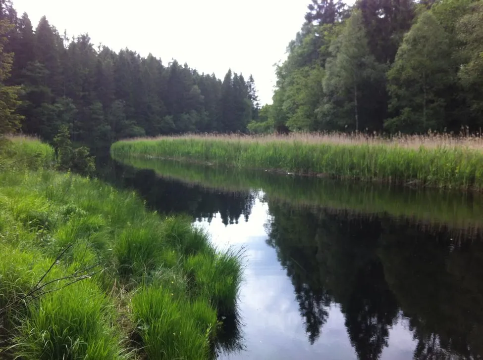 Klicka för att förstora
