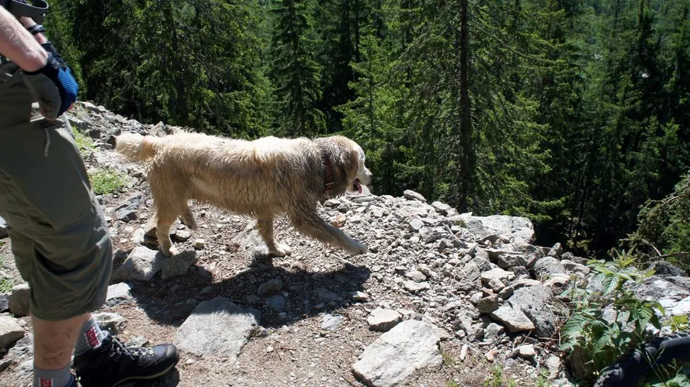 Klicka för att förstora