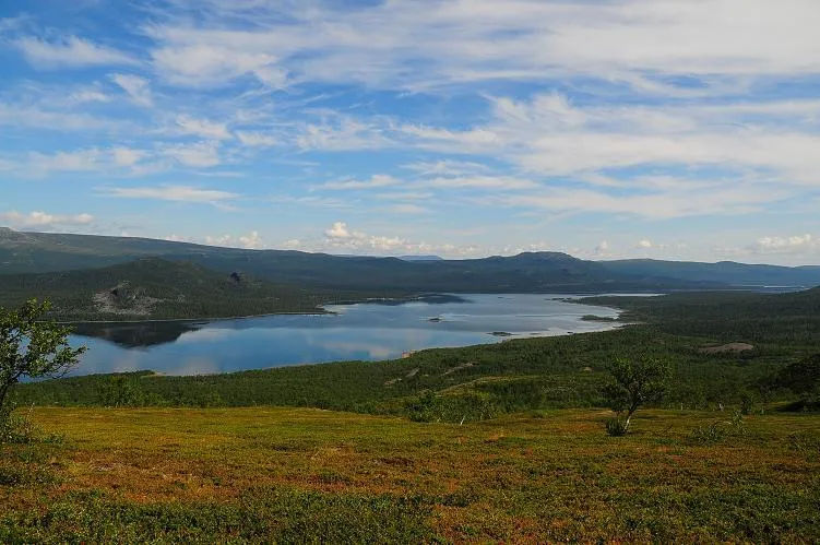 Klicka för att förstora