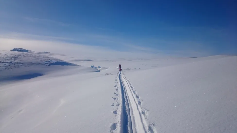 Klicka för att förstora