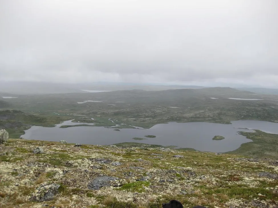 Klicka för att förstora