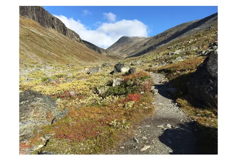 Allt fler terränglöpare i fjällen