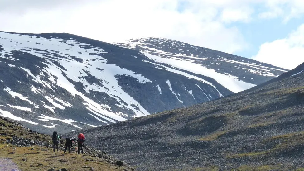 Klicka för att förstora