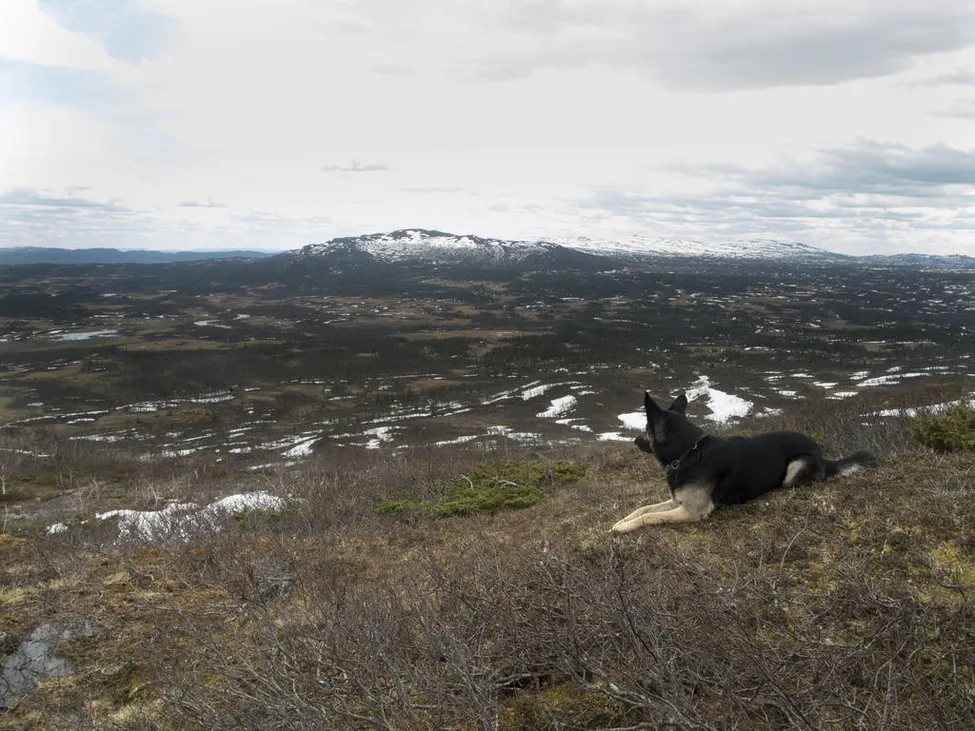 Klicka för att förstora