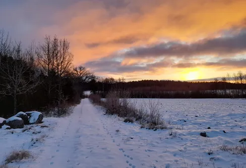 Byträsk, Geta, Åland