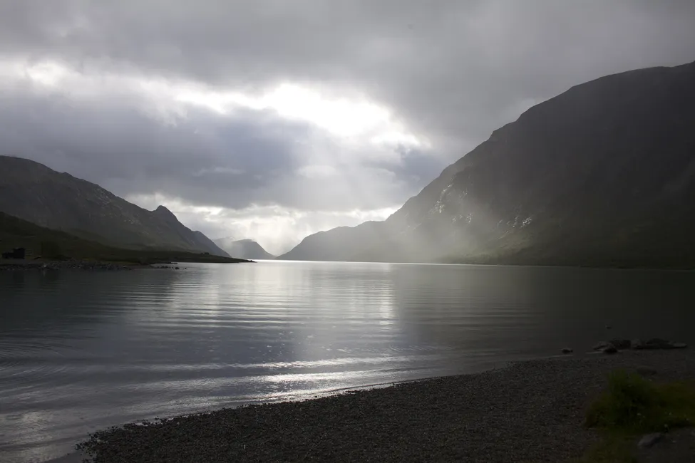 Klicka för att förstora