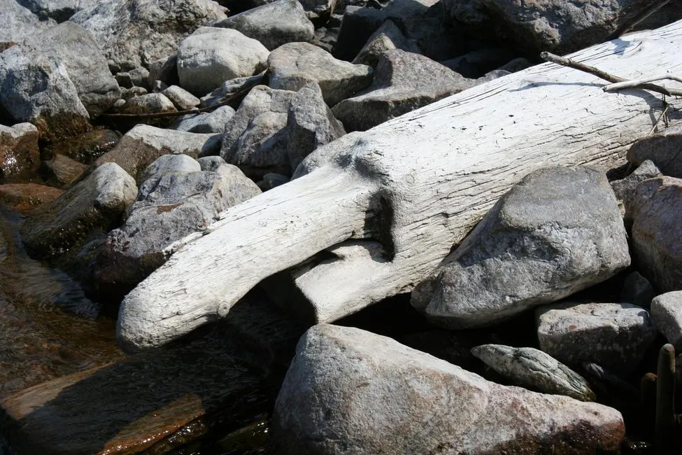 Klicka för att förstora