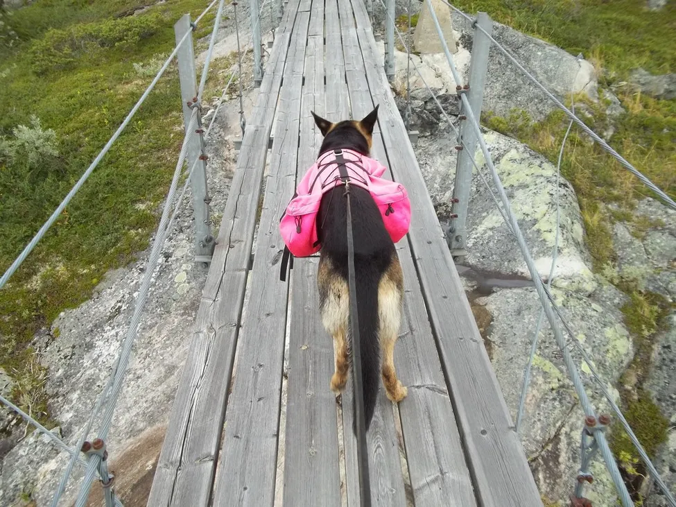 Klicka för att förstora