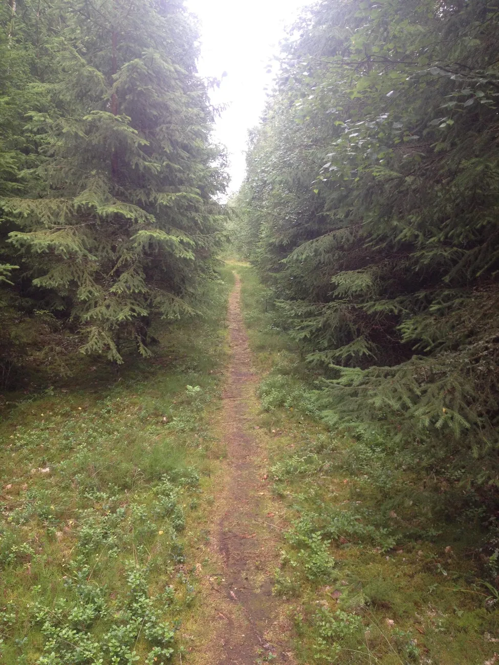 Klicka för att förstora