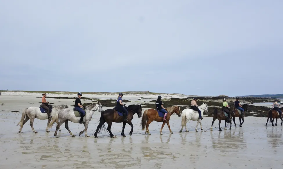 Klicka för att förstora