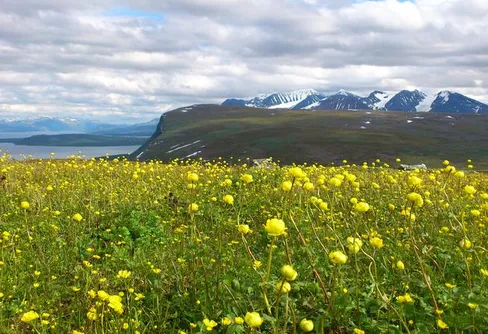 En sorglig, ovanlig, minnesvärd fjälltur