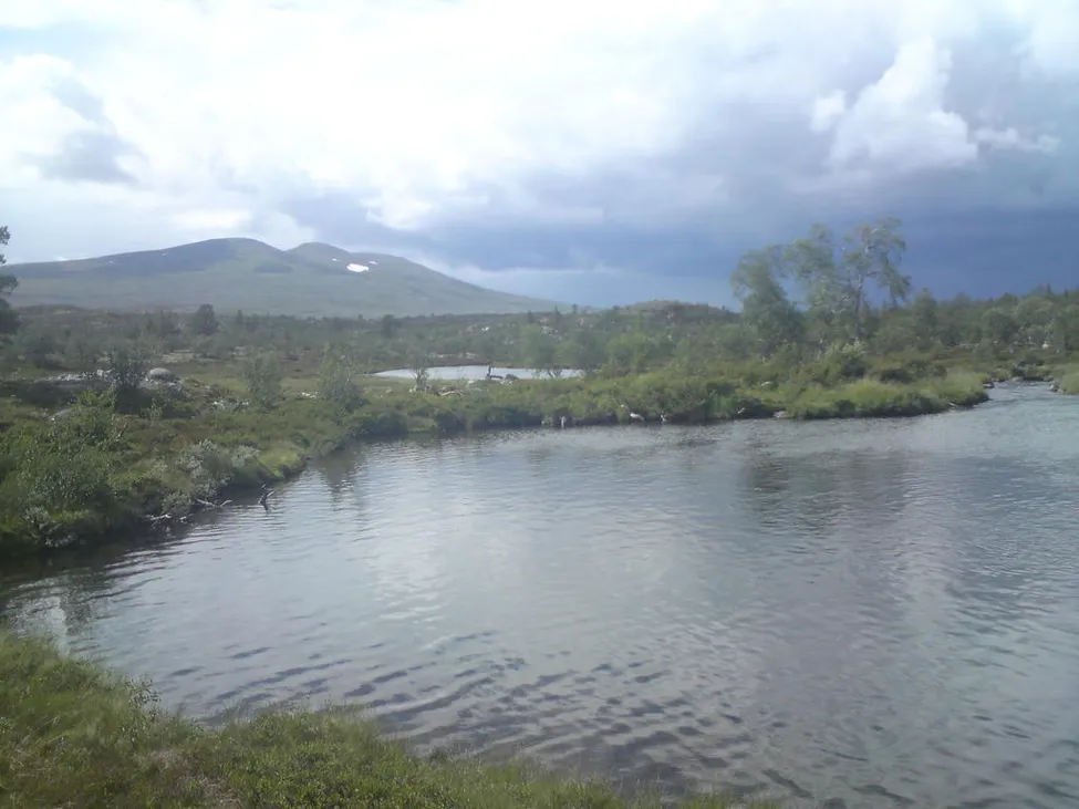 Klicka för att förstora