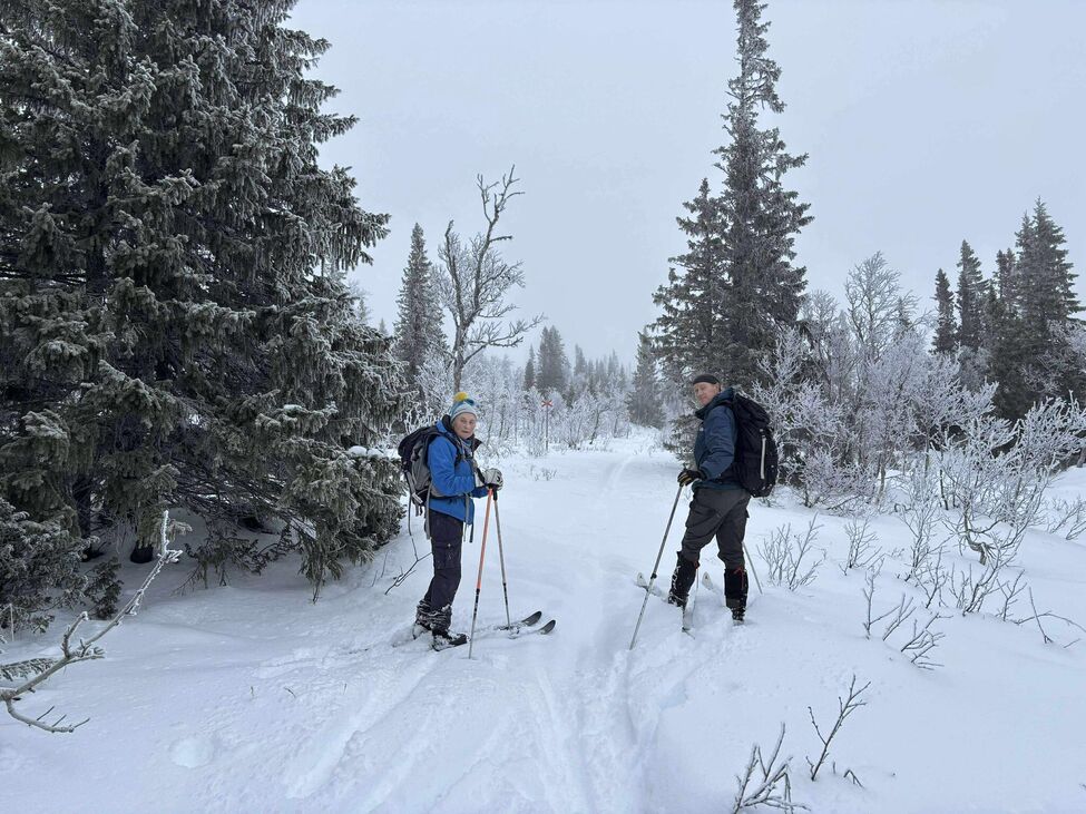 Klicka för att förstora