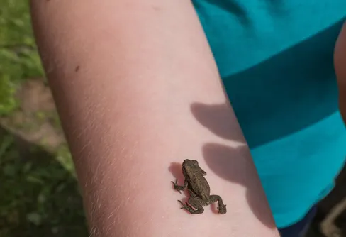 Efter exakt 110m ramlar sonen ner i diket