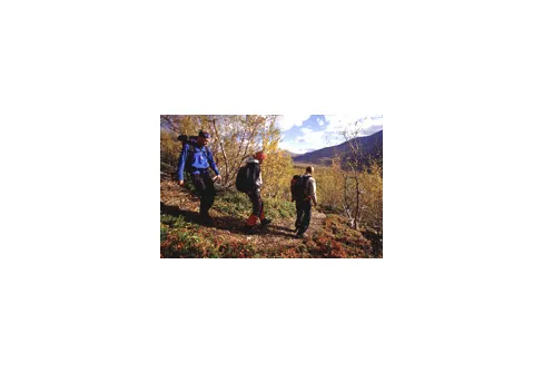 Fjällvandring är populärt