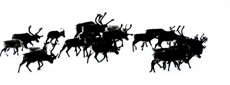 Klicka för att förstora