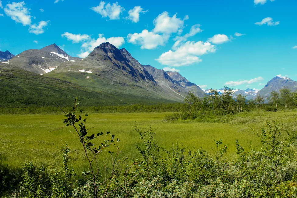 Klicka för att förstora