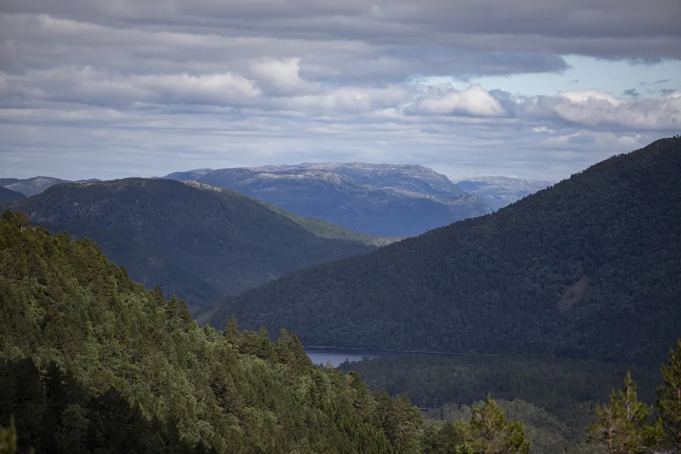 Klicka för att förstora