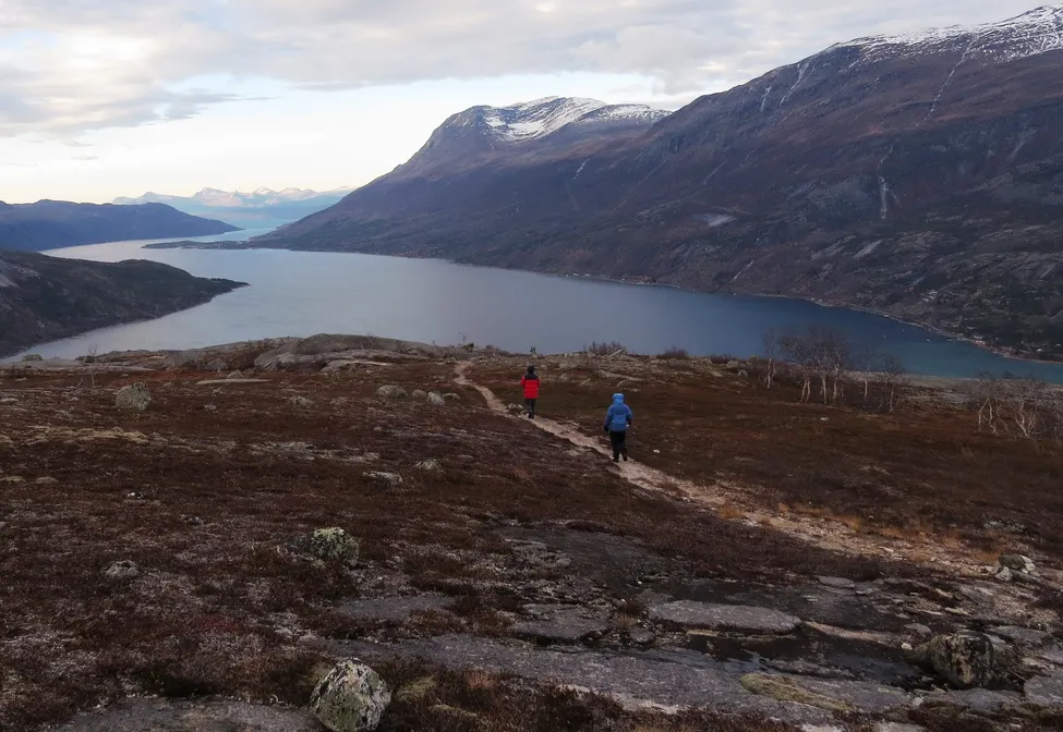 Klicka för att förstora