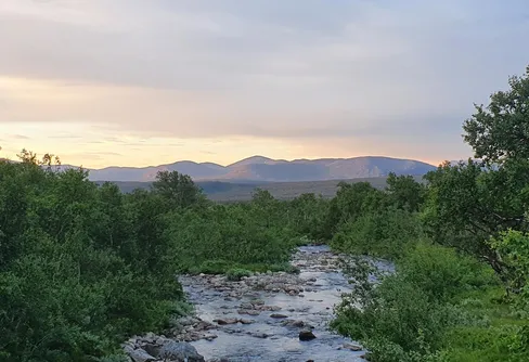 31 juli – tillbaka till Vålådalens fjällstation