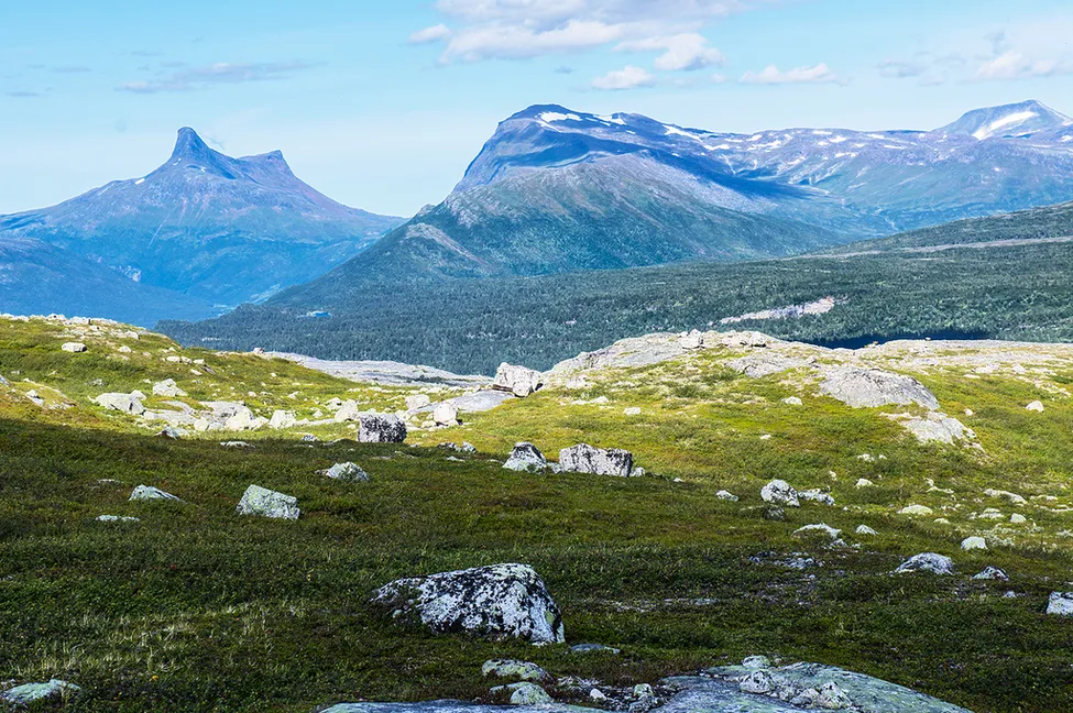 Klicka för att förstora