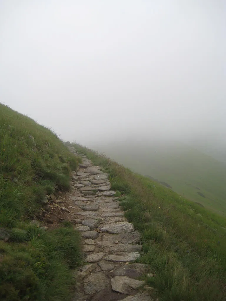 Klicka för att förstora