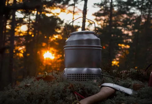 Hur kan jag ha missat skogen?