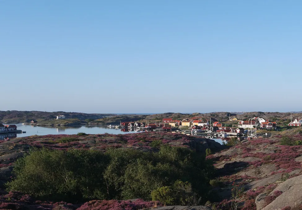 Klicka för att förstora