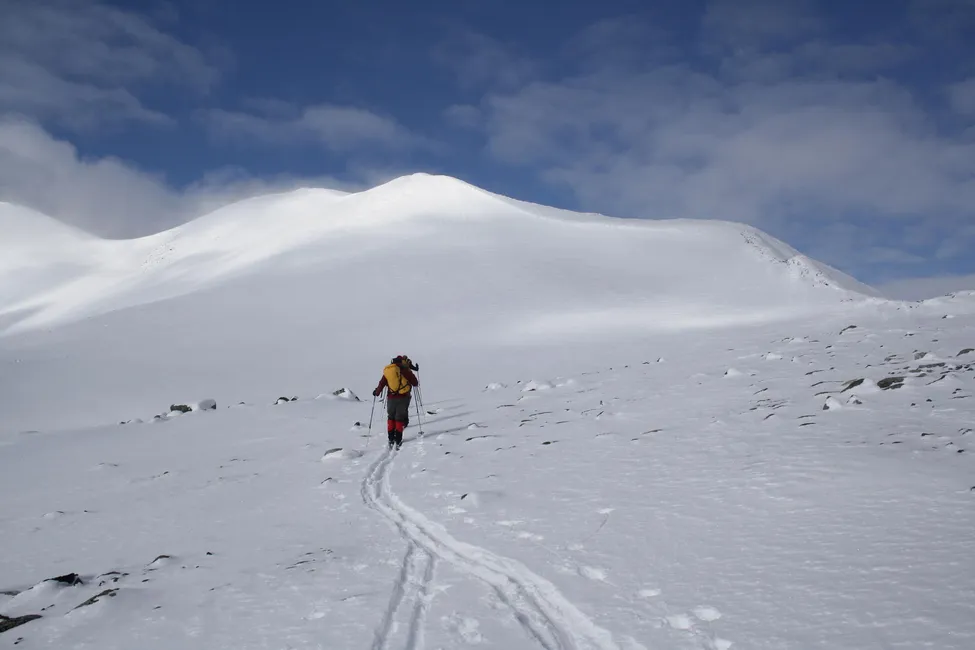 Klicka för att förstora