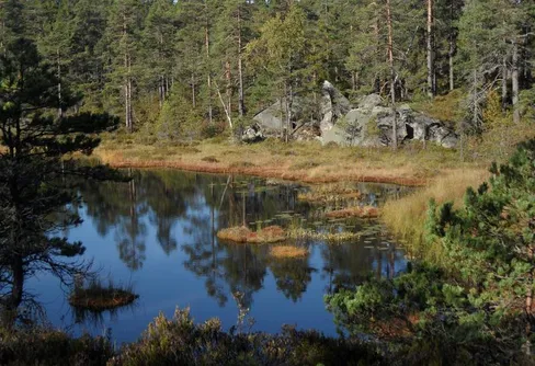 Murstensdalen...