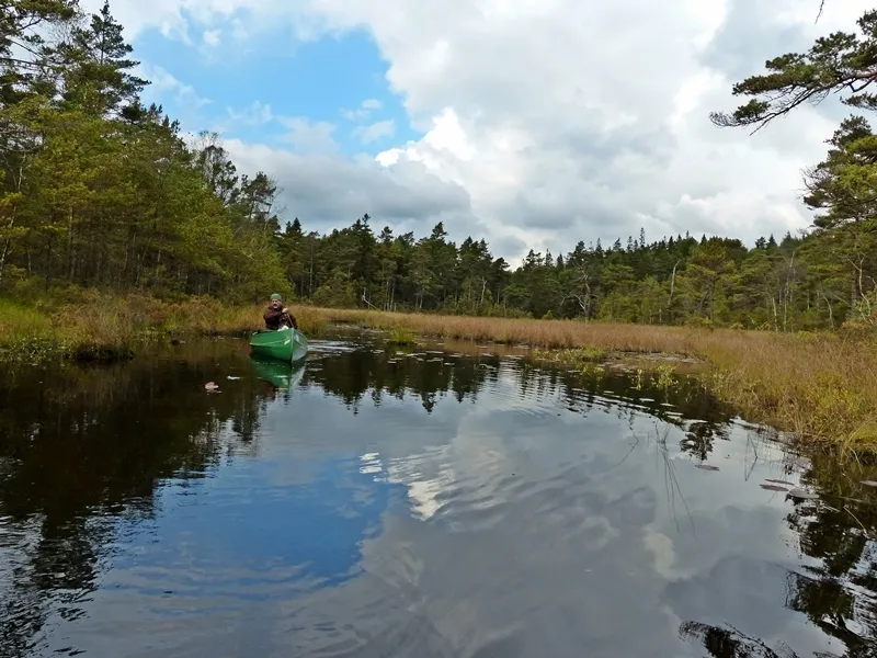 Klicka för att förstora