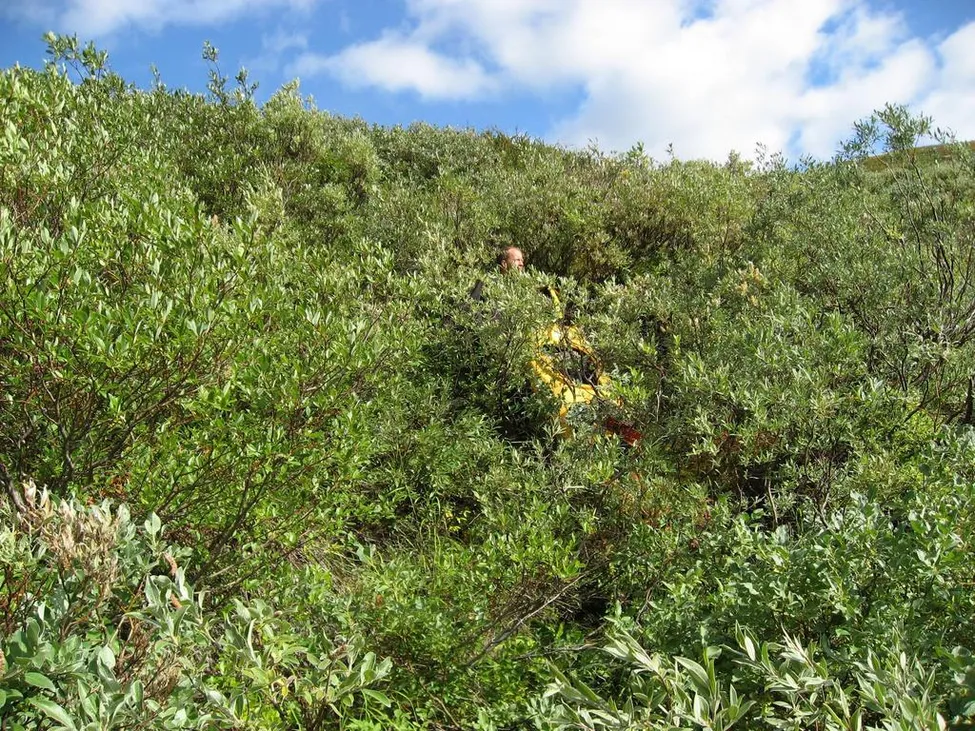 Klicka för att förstora