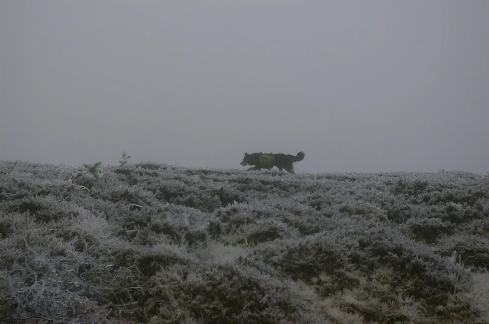 Klicka för att förstora