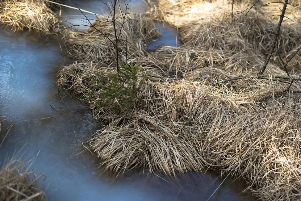 Klicka för att förstora
