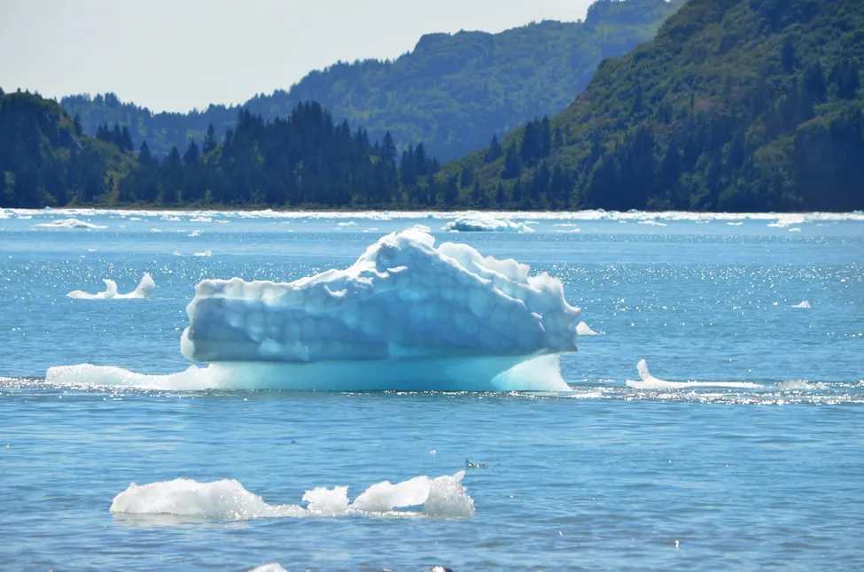 Klicka för att förstora