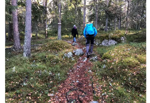 Ut och njut i november!