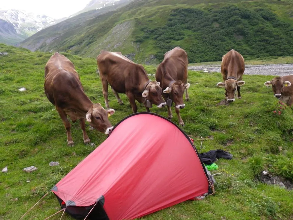 Klicka för att förstora