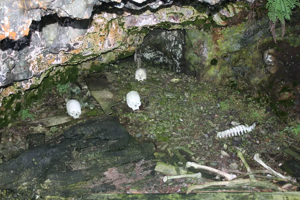 Klicka för att förstora