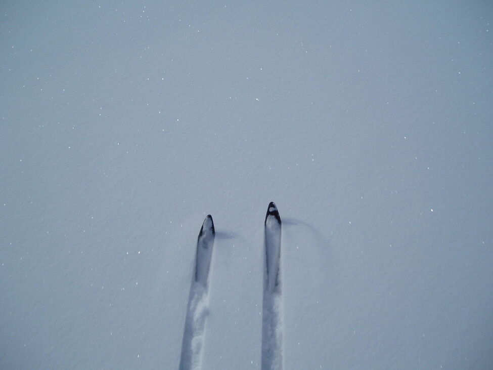 Klicka för att förstora