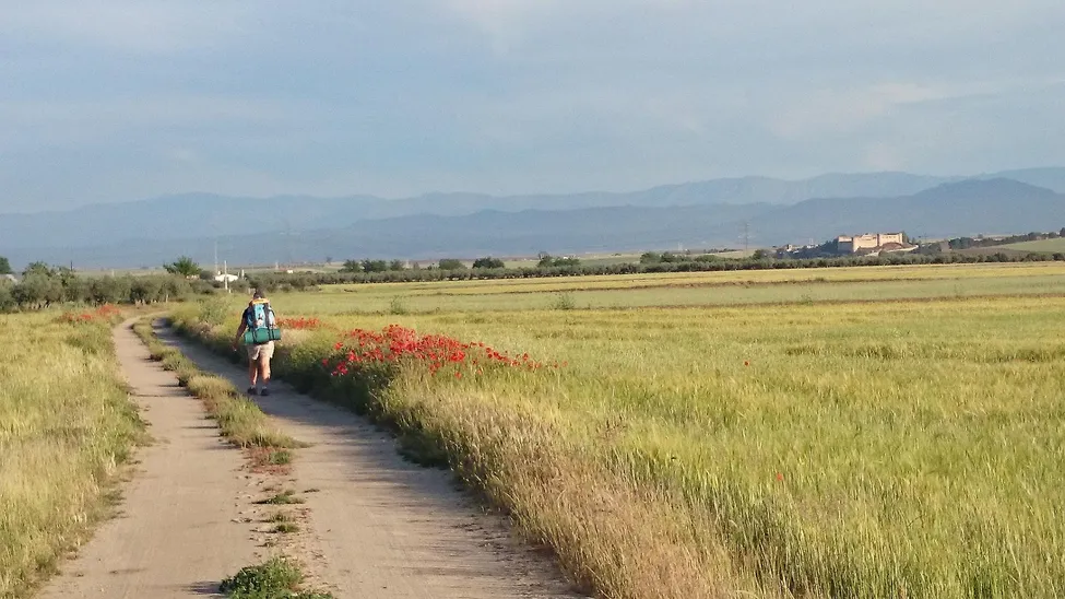 Klicka för att förstora