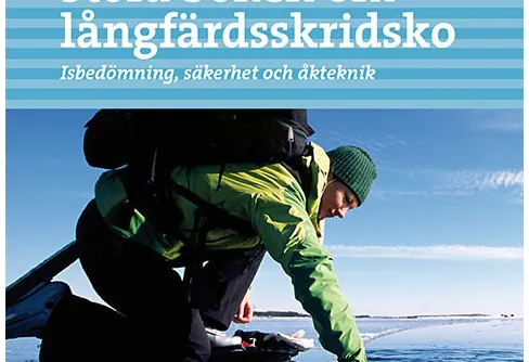 Nya böcker från Calazo