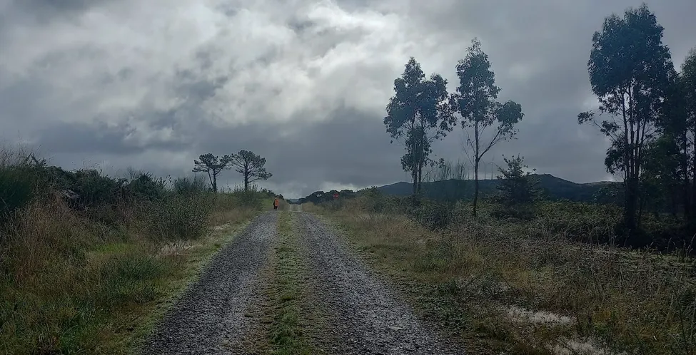 Klicka för att förstora