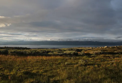 Sista minuten via Lapporten