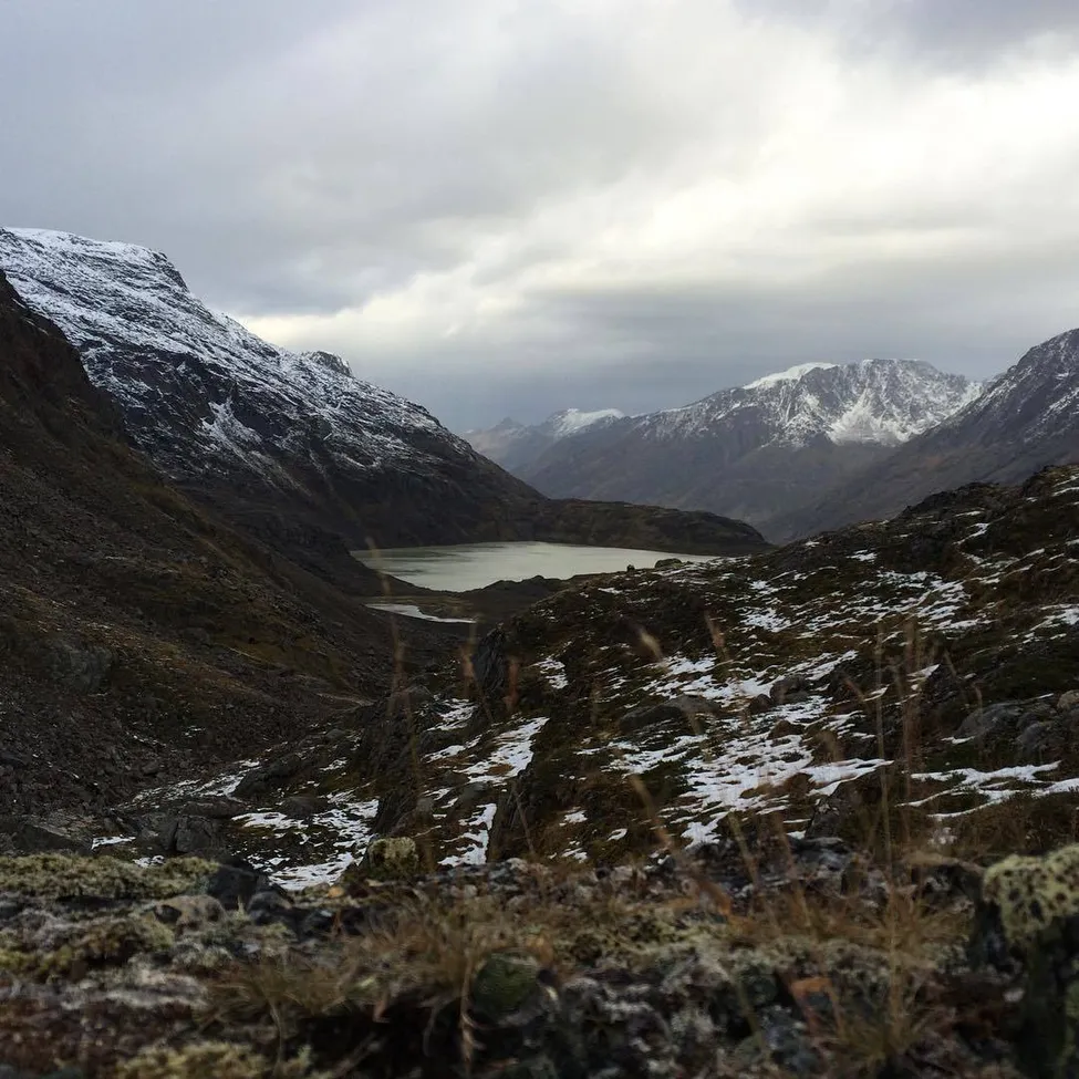 Klicka för att förstora