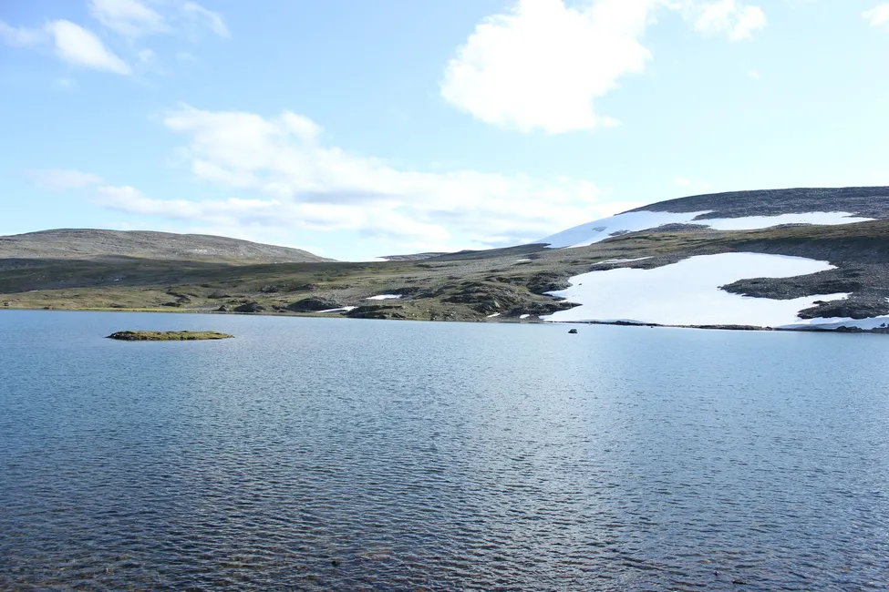 Klicka för att förstora