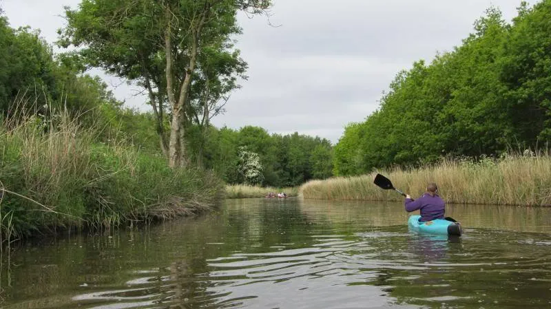 Klicka för att förstora