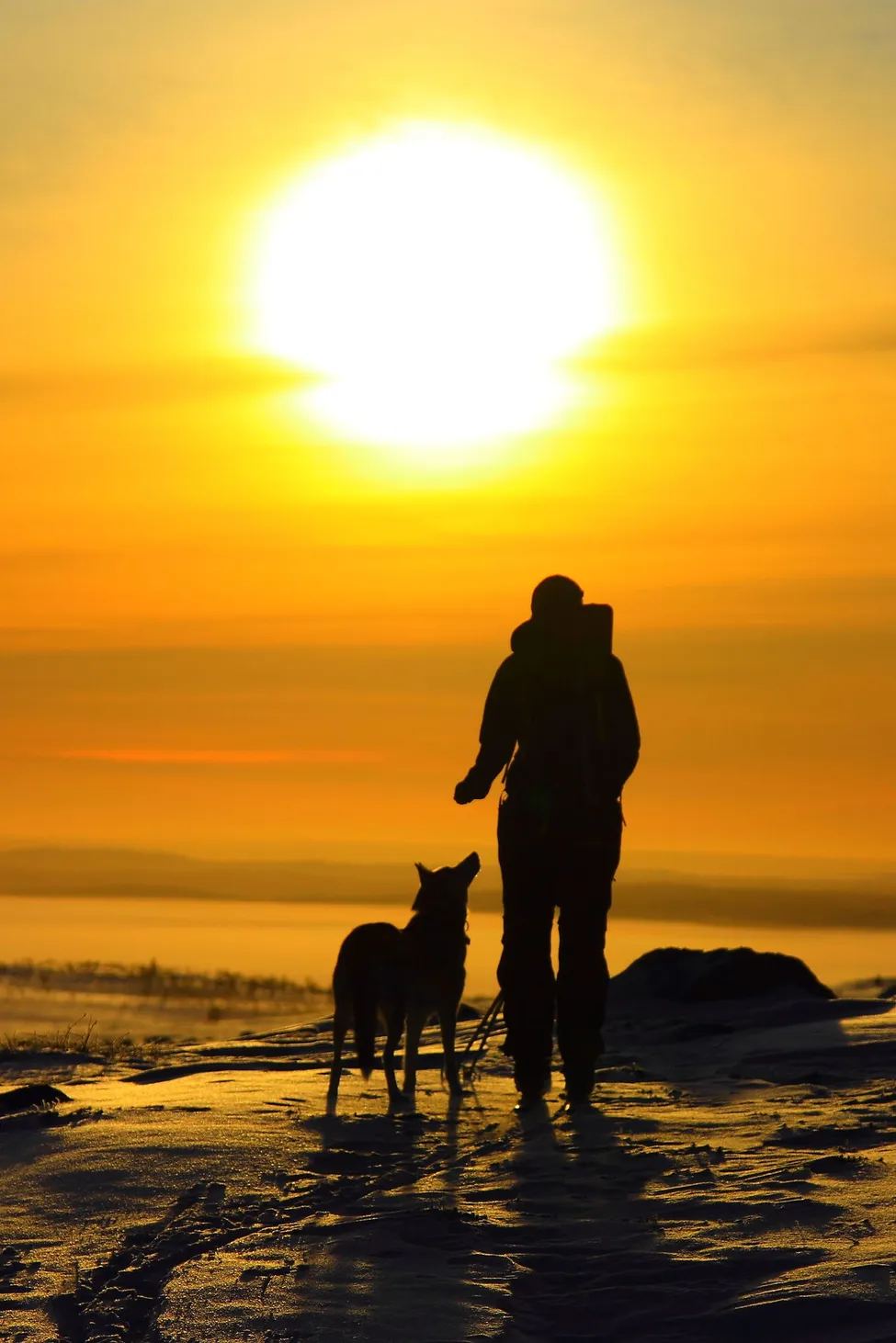 Klicka för att förstora