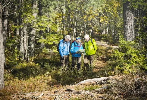 Så gör du om du eller ditt barn går vilse i skogen