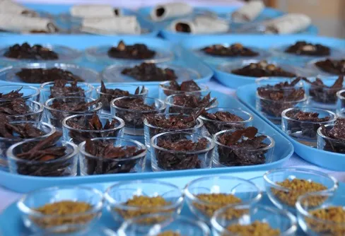 Prova på expeditionsmaten